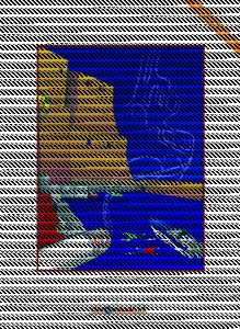 Layout 1
