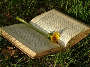 Sognare tra le pagine di un libro
