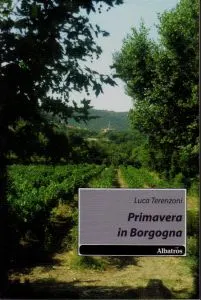Primavera in Borgogna