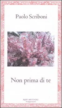 copertina - Non prima di te