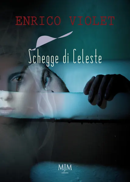 copertina Schegge di celeste