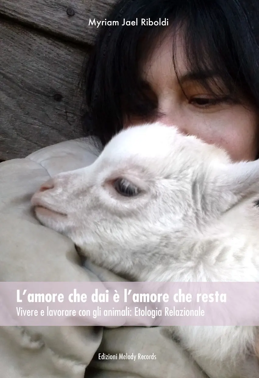 Un viaggio nell