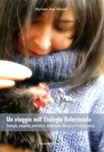 Un viaggio nell