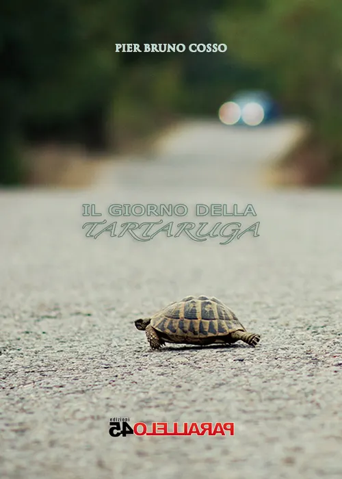 copertina-tartaruga