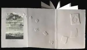 DIAMANTINO 6
