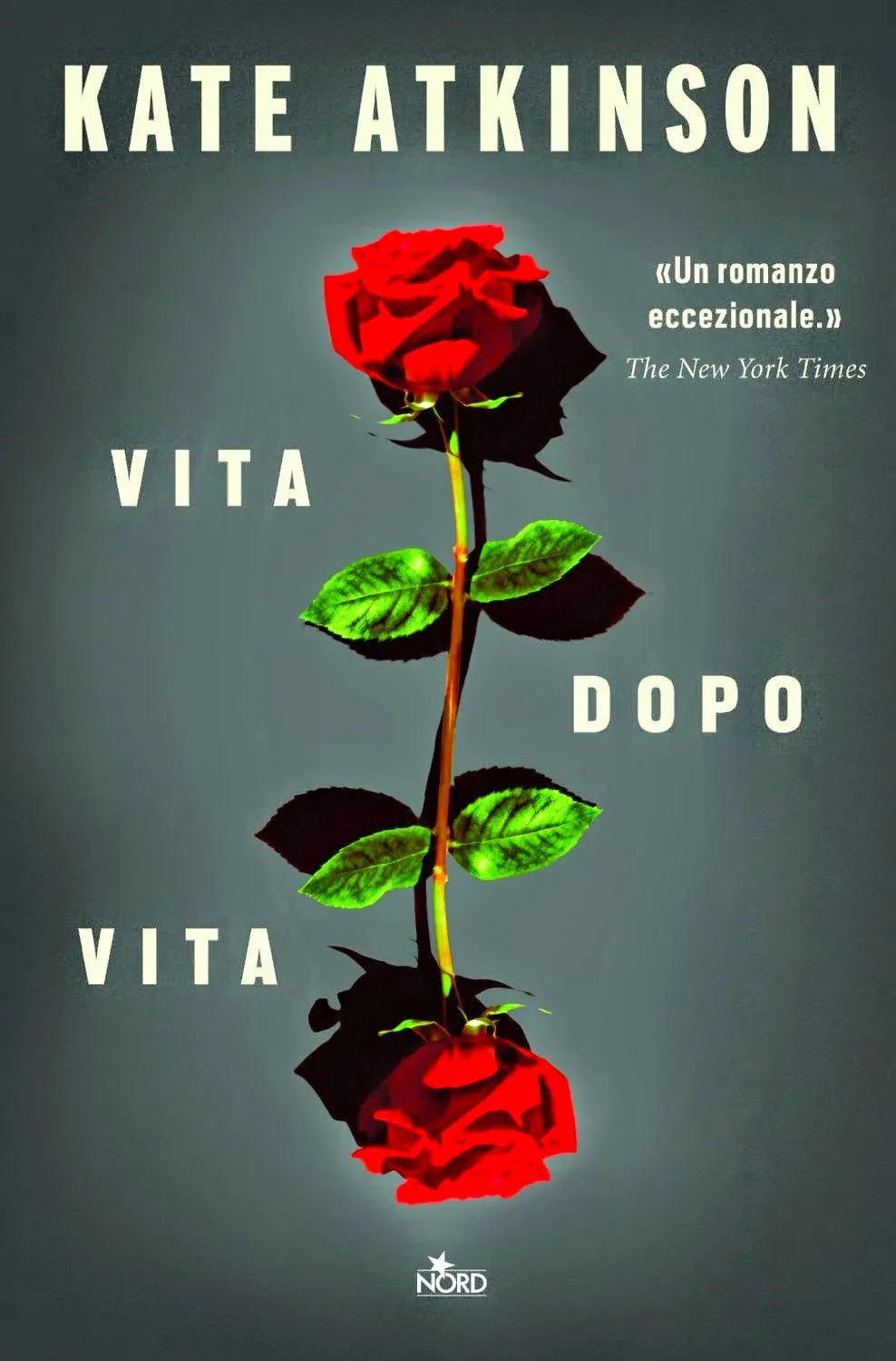 vita dopo vita recensione