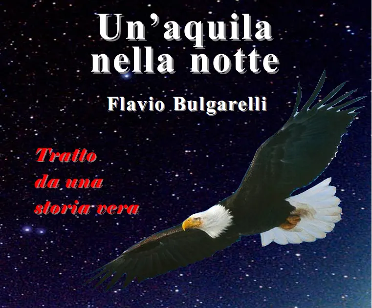flavio bulgarelli