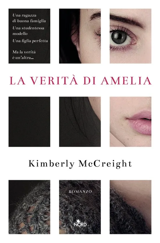 La verità di Amelia recensione