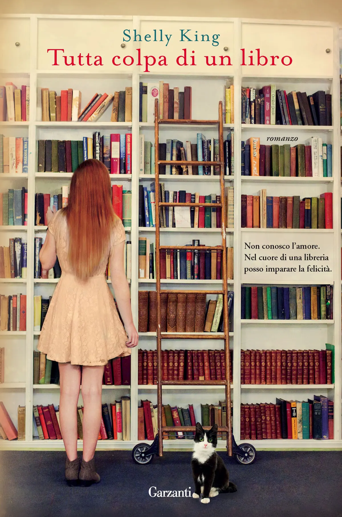 Tutta colpa di un libro recensione