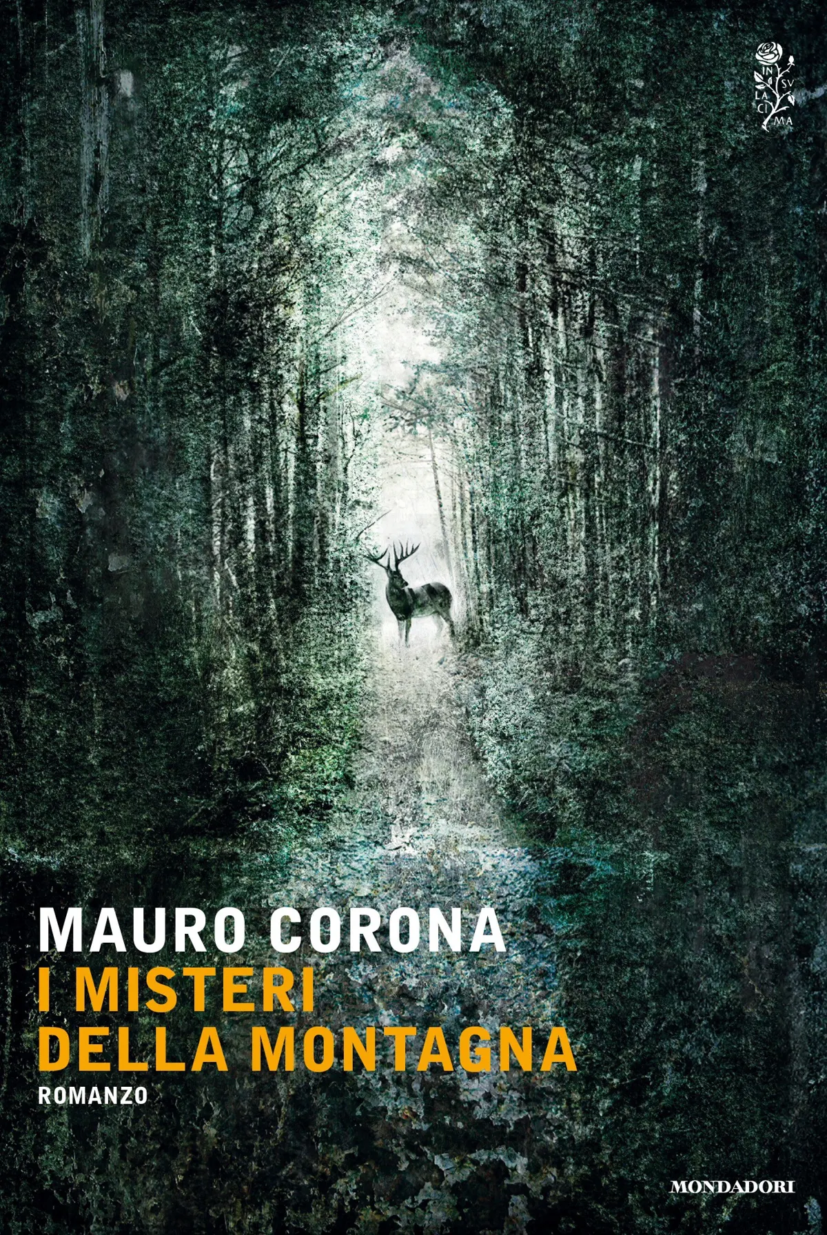 i misteri della montagna recensione