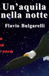 Un’aquila nella notte