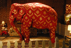 L'elefante nella stanza