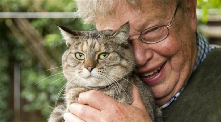 Il vecchio e il gatto. Una storia d’amore