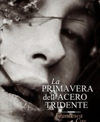 La primavera dell’acero tridente | Francesca Cay