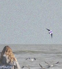 Intervista a Emanuela Stievano, autrice de “IO VOLO”