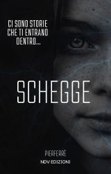 Schegge: Ci sono storie che ti entrano dentro | Pierferrè